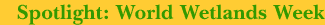 Spotlight: World Wetlands Week